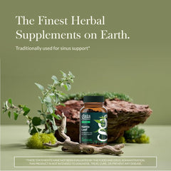 Close-up of Gaia Herbs Stinging Nettle Leaf bottle label communicates potency and purity.