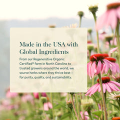 Black pepper extract close detail indicating Gaia Herbs improved absorption benefit
