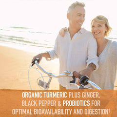 Fermented curcumin and ginger visual suggesting improved bioavailability