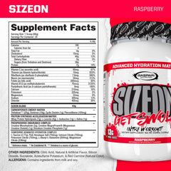 Gaspari SizeOn scoop and powder close-up highlighting rapid mixing for quick fueling.