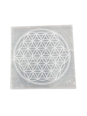 GEMSCITE selenite plate with Flower of Life engraving for crystal cleansing