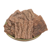 Generic Cortex Eucommiae bark texture for traditional use and quality.