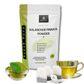 Generic Kalanchoe Pinnata powder bottle with scoop, ideal for adding to smoothies