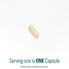 Genestra D.I.M. capsules arranged for easy daily intake.
