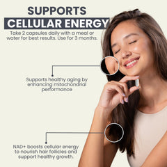 Gi.Da.Culture capsules in a daily routine setup for vitality.