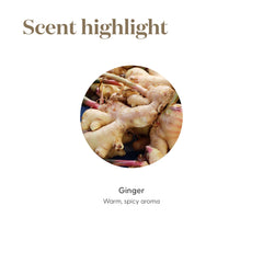 Young Living Ginger Vitality 5ml packaging highlights purity and essential oil quality.