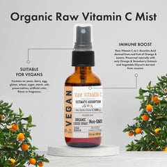 GIVOL Vitamin C Spray Orange bottle for easy daily vitamin C support.