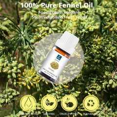 GM Gumili fennel essential oil blend ideas for skincare and personal care.