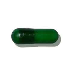 GNC Herbal Plus Oil of Oregano 60mg capsules for everyday use and well-being