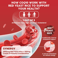 GONGOTA bergamot fruit visual emphasizing flavonoids for cholesterol balance support.