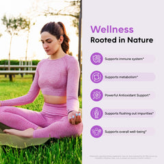 GoodlifePick elderberry capsules ingredients panel highlighting zinc and vitamin C for immune support.
