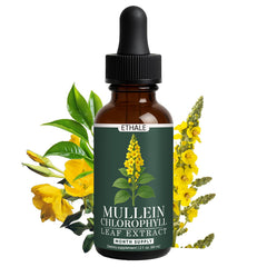 GOOVIP ETHALE Mullein Drops bottle for daily respiratory support.