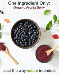 Green Valley Aronia powder packaging emphasizes organic, non-GMO, no additives.