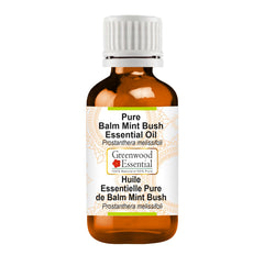 Greenwood Essential Balm Mint Bush bottle pour for refreshing aroma and diffuser use.