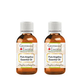 Greenwood Essential Angelica oil pack of two bottles for aromatherapy and skincare blends.