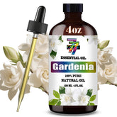 GV77ZF Gardenia essential oil bottle ready for aromatherapy