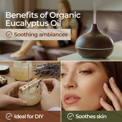 Gya Labs Organic Eucalyptus Oil for hair care to cleanse the scalp.