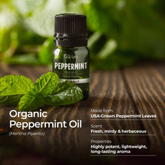 Gya Labs Organic Peppermint Oil for skin ready to be diluted with lotion.