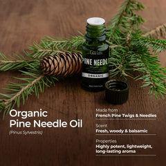 Gya Labs Pine Needle Oil vial highlighting pure, steam-distilled oil.