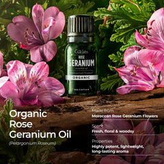 Gya Labs Rose Geranium Oil applied to skin for hydration and balance.