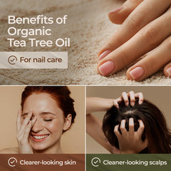 Gya Labs Tea Tree Oil for hair and scalp blends with carrier oil for gentle care.