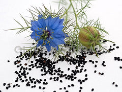 Ingredient panel on Gye Nyame bitters showing black seed and moringa for natural wellness.
