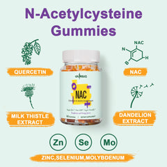 Gyumolics NAC vegan sugar-free formula suited for vegan and keto lifestyles.