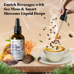 Happy Fox tincture added to tea for easy daily immune-friendly boosts.