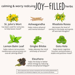 Happy Healthy Hippie St. John's Wort herbs illustrate natural mood support.