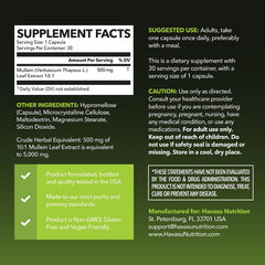 Packaging highlights vegan, non-GMO mullein formula for wellness.
