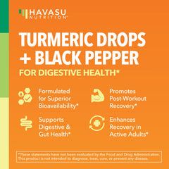 HAVASU NUTRITION turmeric liquid drops close-up showing 1 mL serving