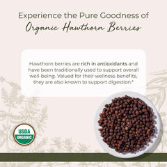 Starwest Hawthorn Berries for tea brew with rich aroma and flavor