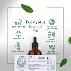 HBNO eucalyptus globulus oil demonstrating hair and skin care uses.