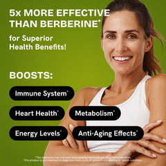 HealMeal Dihydroberberine pack interior shows two-pack design for value