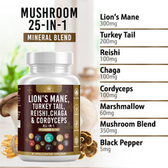 Health Heals Turkey Tail extract capsules integrated into daily routine