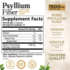 Health Nutrition Naturals Psyllium Husk Capsules pour showcasing easy-to-swallow capsules.