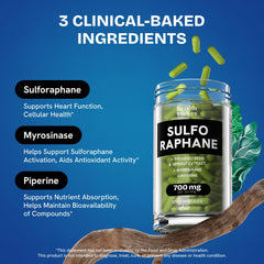 Healthbiotics bottle pour captures convenient everyday use and quick access.