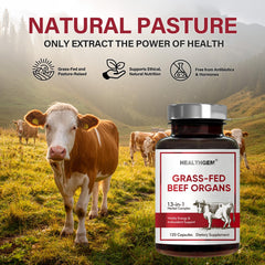 HEALTHGEM Beef Organs Kidney capsules support metabolism and natural energy