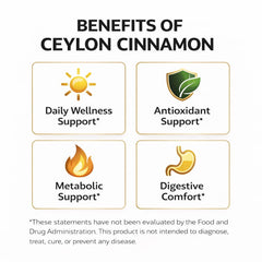 Healthy Beaver Ceylon Cinnamon capsules on white background supporting metabolic balance.