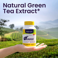 Healthy Origins Teavigo green tea leaves depict natural sourcing and purity.
