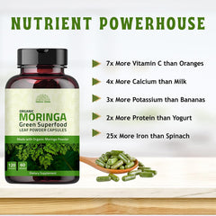 Hebhac Herbs Moringa Capsules back of bottle with dosage information.