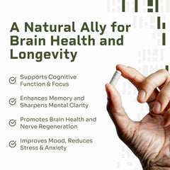HELLO100 Lion’s Mane bottle on shelf emphasizes immune support potential.