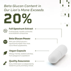 HELLO100 Lion’s Mane plant-based capsules shown for daily focus and clarity.