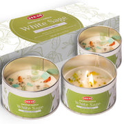 HEM White Sage Candle with crystals and sage leaves for grounding rituals