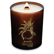 Hemlock Park Amber & Gold wood wick candle with steady flame for cozy ambience.
