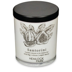 Hemlock Park natural coconut wax candle for clean burn