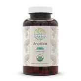 HerbEra Angelica bottle scene showing organic supplement for daily wellness routines.
