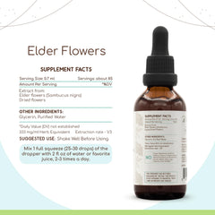 HerbEra dried elder flowers highlighting premium raw material for flavor-rich herbal use.