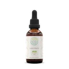 HerbEra Lady's Mantle tincture bottle with dropper for convenient dosing