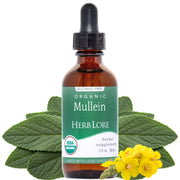 Herb Lore Mullein tincture bottle for natural respiratory comfort with simple dropper use.